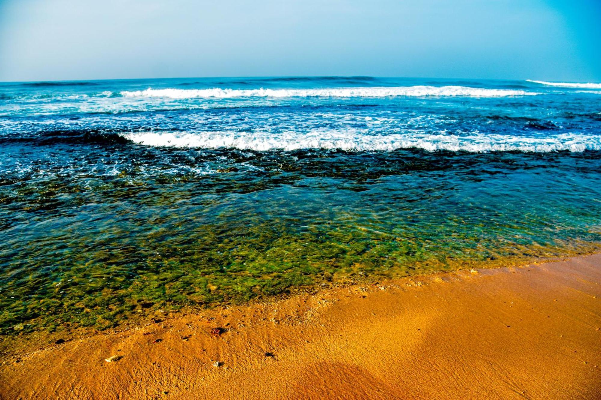 Ara Beach Resort Mirissa Exteriér fotografie