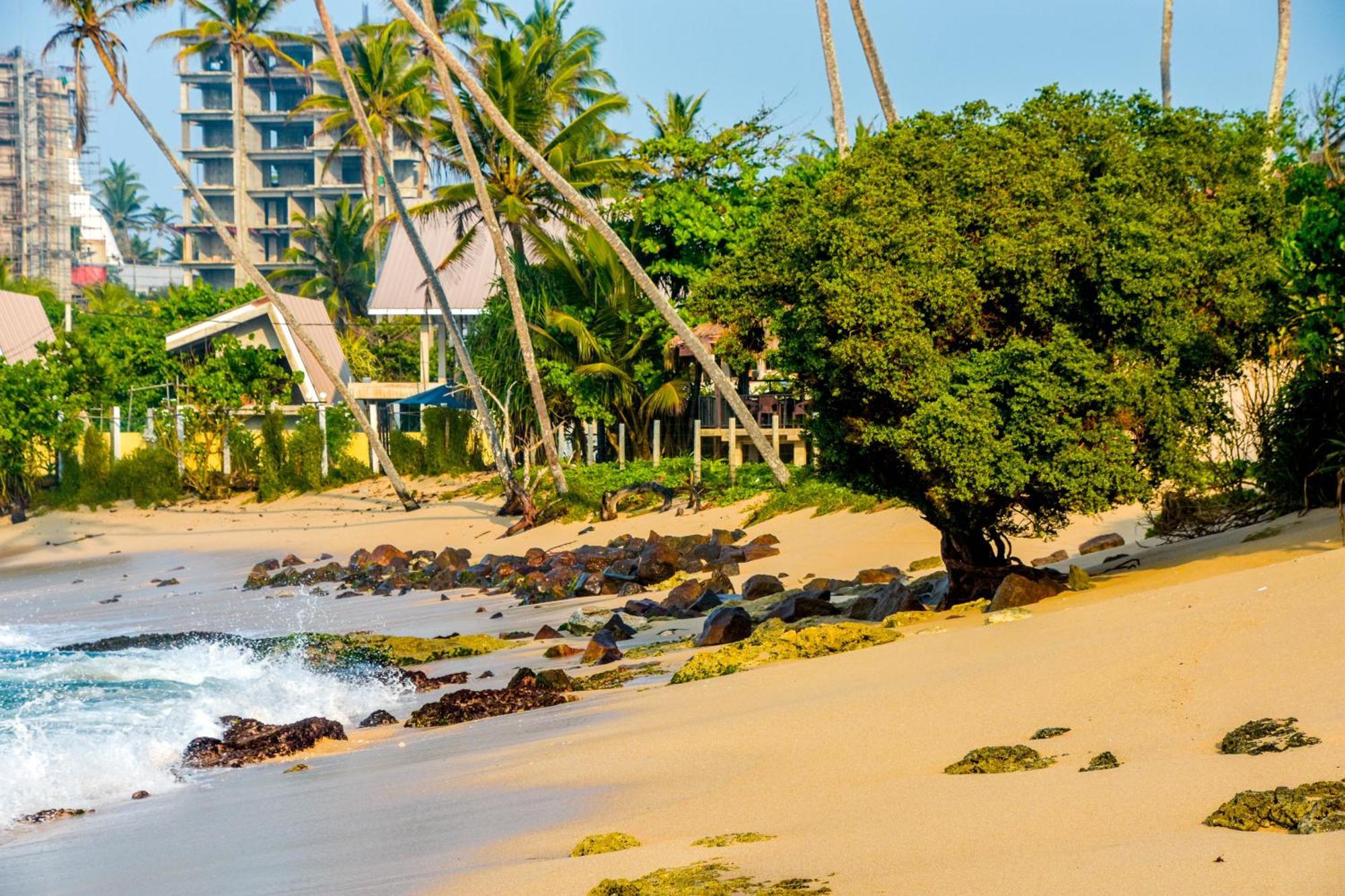 Ara Beach Resort Mirissa Exteriér fotografie